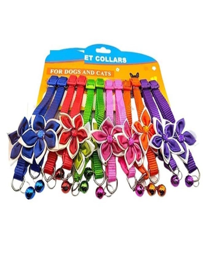 KittuPet Pack of 12 pcs Collar Flower Deisgn Interactive Collar for Your Kitten Pupies Dog Size 10 MM Random Color
